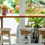 Meow Cafe & Hotel